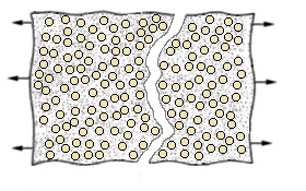  Traction transversale : coalescence de fissures (conjonction de plusieurs microfissures en une seule fissure)