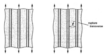 Traction longitudinale : rupture transversale de la matrice